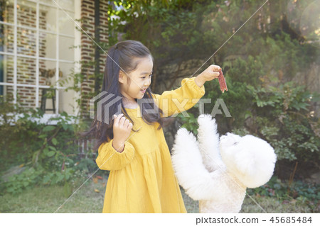 Puppy, girl, korean Puppy, girl, korean 45685484