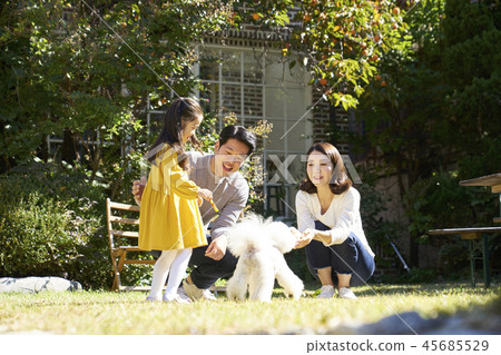 Family, Dad, Mom, Daughter, Puppy, Korean Family, Dad, Mom, Daughter, Puppy, Korean 45685529
