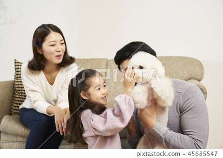 Family, Dad, Mom, Daughter, Puppy, Korean Family, Dad, Mom, Daughter, Puppy, Korean 45685547