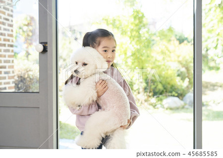 Puppy, girl, korean Puppy, girl, korean 45685585