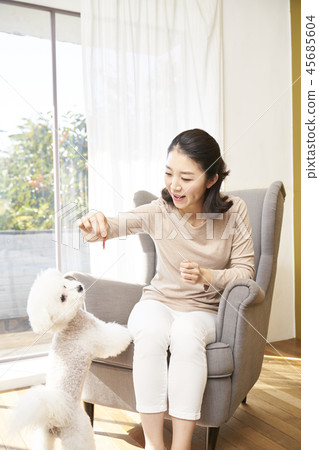 Life, Woman, Adult, Dog, Korean Life, Woman, Adult, Dog, Korean 45685604