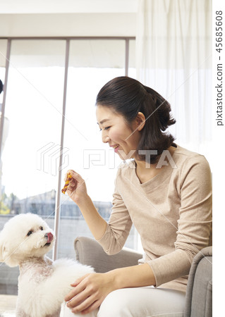 Life, Woman, Adult, Dog, Korean Life, Woman, Adult, Dog, Korean 45685608