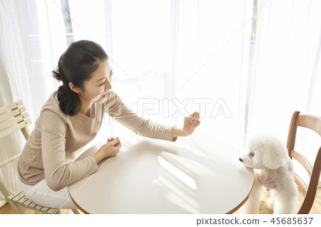 Life, Woman, Adult, Dog, Korean Life, Woman, Adult, Dog, Korean 45685637