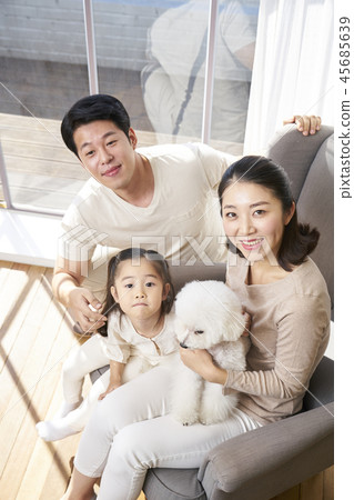 Family, Dad, Mom, Daughter, Puppy, Korean Family, Dad, Mom, Daughter, Puppy, Korean 45685639