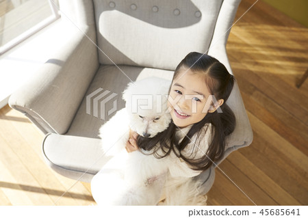 小狗，女孩，韓國 45685641