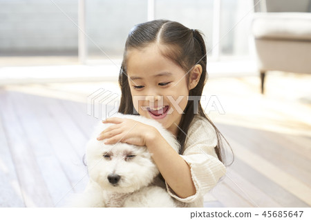 Puppy, girl, korean 45685647