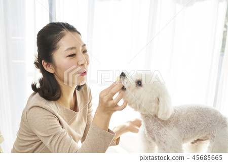 Life, Woman, Adult, Dog, Korean Life, Woman, Adult, Dog, Korean 45685665