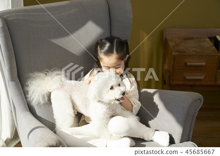 Puppy, girl, korean Puppy, girl, korean 45685667