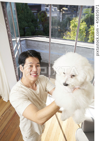 Life, Dog, Man, Adult, Korean Life, Dog, Man, Adult, Korean 45685671