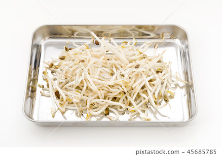 豆芽 豆芽 45685785
