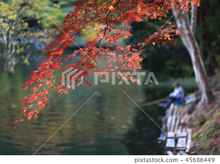 Autumn fishing 45686449