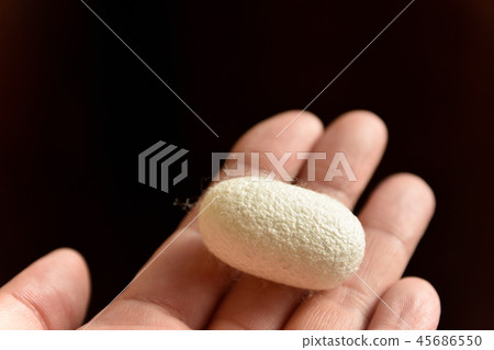 玉球在手邊 45686550