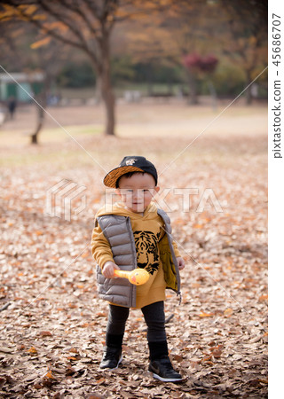 Children, Autumn, Fallen leaves, Olympic park, Outdoors, Child, Boy Children, Autumn, Fallen leaves, Olympic park, Outdoors, Child, Boy 45686707