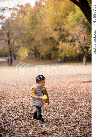 Children, Autumn, Fallen leaves, Olympic park, Outdoors, Child, Boy Children, Autumn, Fallen leaves, Olympic park, Outdoors, Child, Boy 45686715