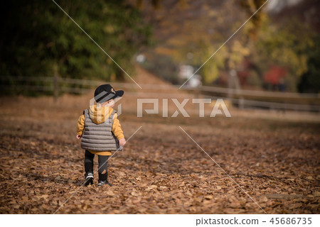 Children, Autumn, Fallen leaves, Olympic park, Outdoors, Child, Boy Children, Autumn, Fallen leaves, Olympic park, Outdoors, Child, Boy 45686735