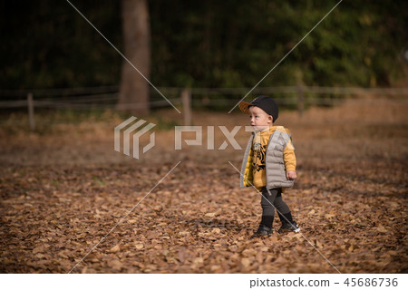 Children, Autumn, Fallen leaves, Olympic park, Outdoors, Child, Boy Children, Autumn, Fallen leaves, Olympic park, Outdoors, Child, Boy 45686736
