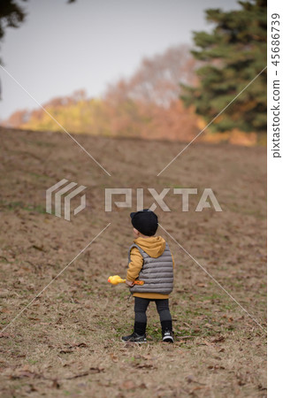 Children, Autumn, Fallen leaves, Olympic park, Outdoors, Child, Boy Children, Autumn, Fallen leaves, Olympic park, Outdoors, Child, Boy 45686739