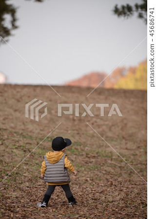 Children, Autumn, Fallen leaves, Olympic park, Outdoors, Child, Boy Children, Autumn, Fallen leaves, Olympic park, Outdoors, Child, Boy 45686741