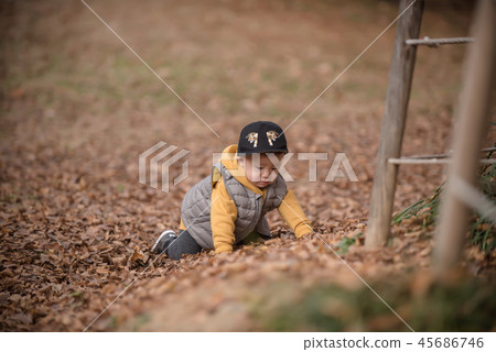 兒童,秋天,落葉,奧林匹克公園,戶外,兒童,男孩 兒童,秋天,落葉,奧林匹克公園,戶外,兒童,男孩 45686746