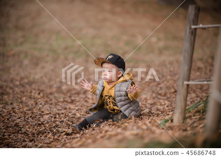 兒童,秋天,落葉,奧林匹克公園,戶外,兒童,男孩 兒童,秋天,落葉,奧林匹克公園,戶外,兒童,男孩 45686748
