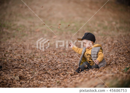 兒童，秋天，落葉，奧林匹克公園，戶外，兒童，男孩 45686753