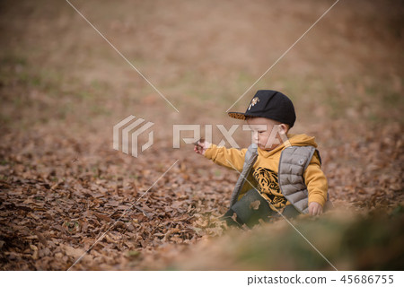 Children, Autumn, Fallen leaves, Olympic park, Outdoors, Child, Boy Children, Autumn, Fallen leaves, Olympic park, Outdoors, Child, Boy 45686755