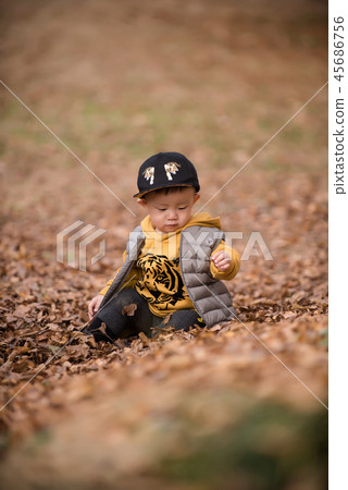 Children, Autumn, Fallen leaves, Olympic park, Outdoors, Child, Boy Children, Autumn, Fallen leaves, Olympic park, Outdoors, Child, Boy 45686756