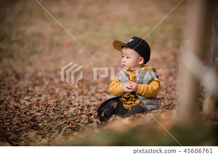 兒童,秋天,落葉,奧林匹克公園,戶外,兒童,男孩 兒童,秋天,落葉,奧林匹克公園,戶外,兒童,男孩 45686761