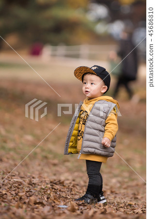兒童,秋季,奧林匹克公園,戶外,兒童,男孩 兒童,秋季,奧林匹克公園,戶外,兒童,男孩 45686810