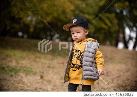 兒童,秋季,奧林匹克公園,戶外,兒童,男孩 兒童,秋季,奧林匹克公園,戶外,兒童,男孩 45686822