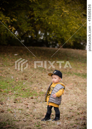 兒童，秋季，奧林匹克公園，戶外，兒童，男孩 45686836