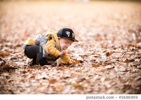 Children, Autumn, Olympic Park, Outdoors, Child, Boy Children, Autumn, Olympic Park, Outdoors, Child, Boy 45686909