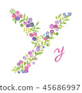 Alphabet Y (berry) 45686997
