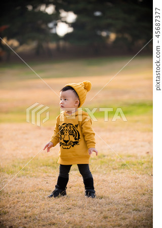 兒童,秋季,奧林匹克公園,戶外,兒童,男孩 兒童,秋季,奧林匹克公園,戶外,兒童,男孩 45687377