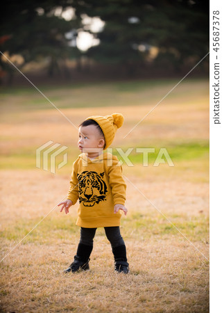 兒童,秋季,奧林匹克公園,戶外,兒童,男孩 兒童,秋季,奧林匹克公園,戶外,兒童,男孩 45687378