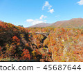 秋葉秋天風景背景 45687644