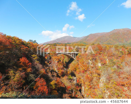 秋葉秋天風景背景 45687644