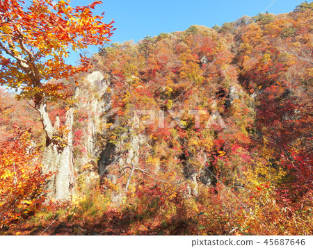 Autumn leaves autumn landscape background Autumn leaves autumn landscape background 45687646