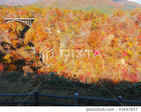 秋葉秋天風景背景 秋葉秋天風景背景 45687647