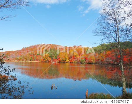 秋葉秋天風景背景 秋葉秋天風景背景 45687657
