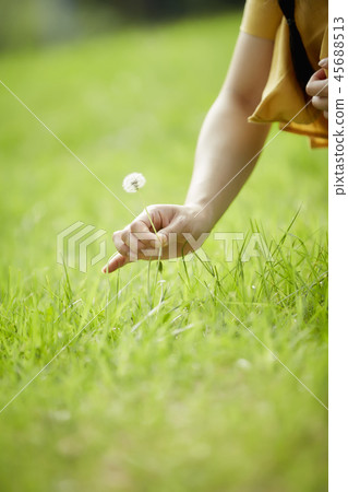 Woman, college student, summer, park, walking, forest, leisure, healing, relaxation, nature 45688513