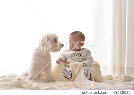 嬰兒，嬰兒，幼兒，小狗 45688622