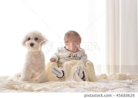 嬰兒，嬰兒，幼兒，小狗 45688626