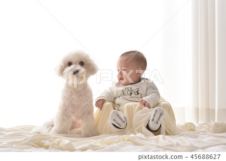 嬰兒，嬰兒，幼兒，小狗 45688627