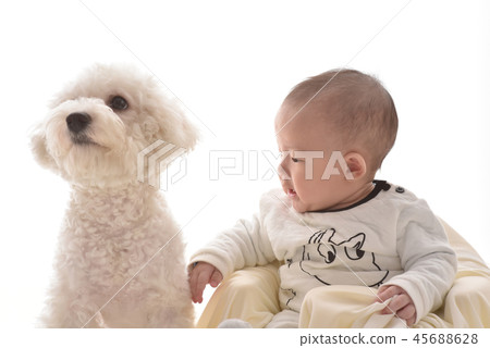 嬰兒，嬰兒，幼兒，小狗 45688628