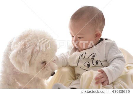 嬰兒，嬰兒，幼兒，小狗 45688629