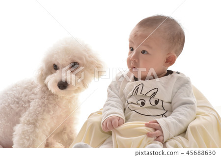嬰兒，嬰兒，幼兒，小狗 45688630