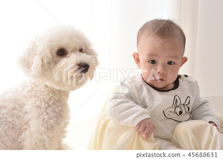 嬰兒，嬰兒，幼兒，小狗 45688631