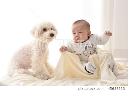 嬰兒，嬰兒，幼兒，小狗 45688633