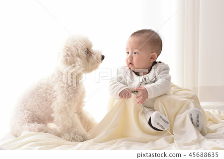 嬰兒，嬰兒，幼兒，小狗 45688635